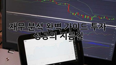 재무 분석 완벽 가이드: 투자 성공의 지름길